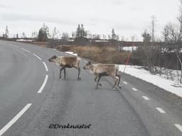 Mitt vackra Norrland